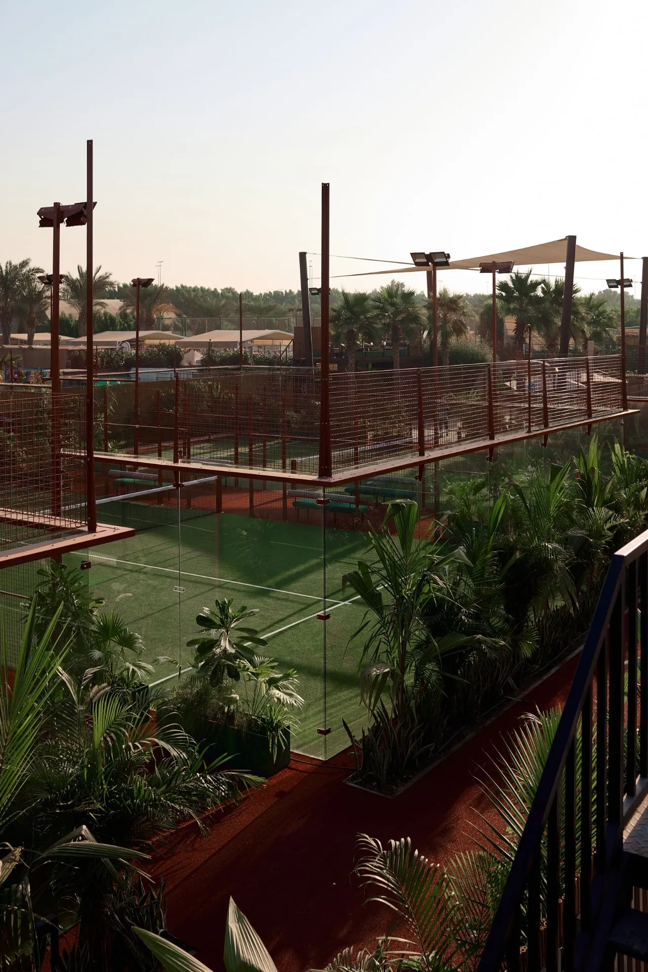 Panoramic view of padel courts with palm trees